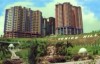 venice_hill23.jpg