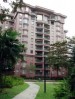 saujana_bungaraya.jpg