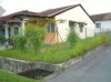 DSC00442.JPG