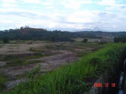 buaya buaya