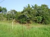 1_08_acre_kg_tombovo.JPG