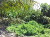 20120421_111947e.jpg