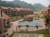 rimba_pool.jpg