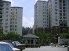 PICT1044.JPG