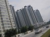 Sentul_Saffron.jpg